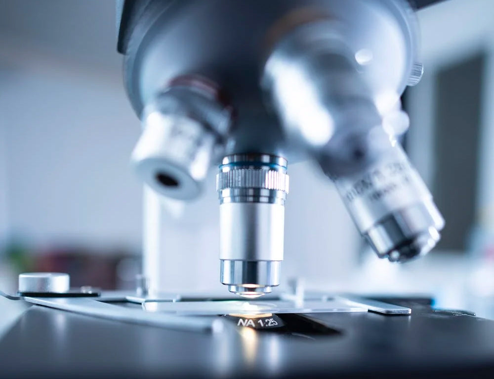 Helpful Bacteria – Can Bacteria Improve Our Health?