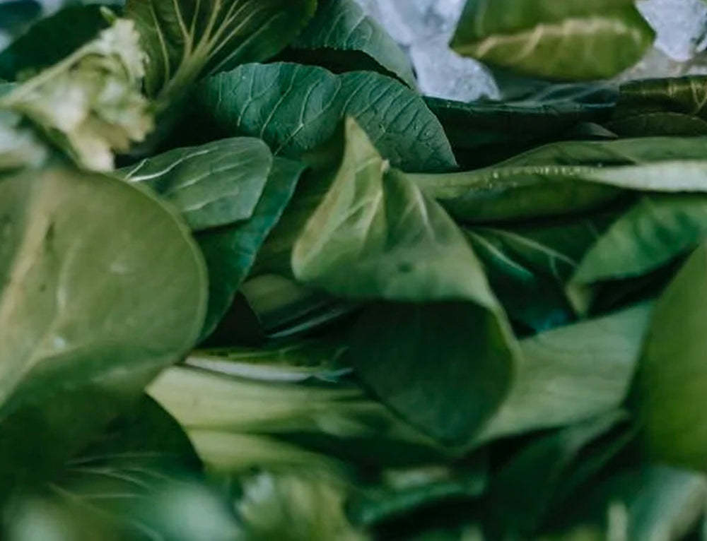 So… What Are The Benefits Of A Plant Based Diet?