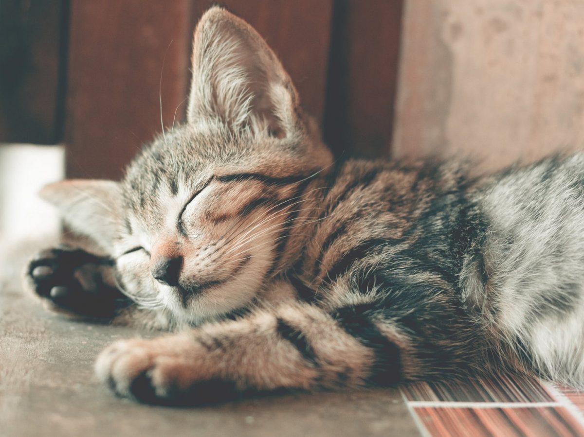 Tips for a Restful Sleep