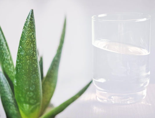 Comparison of Aloe Vera Mouthwash